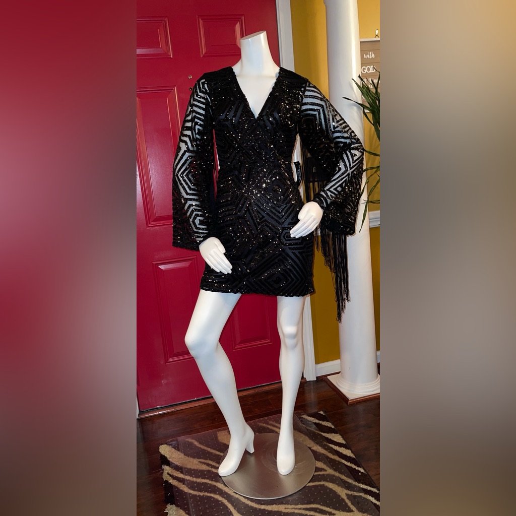 Sequin Mini Dress With Fringe